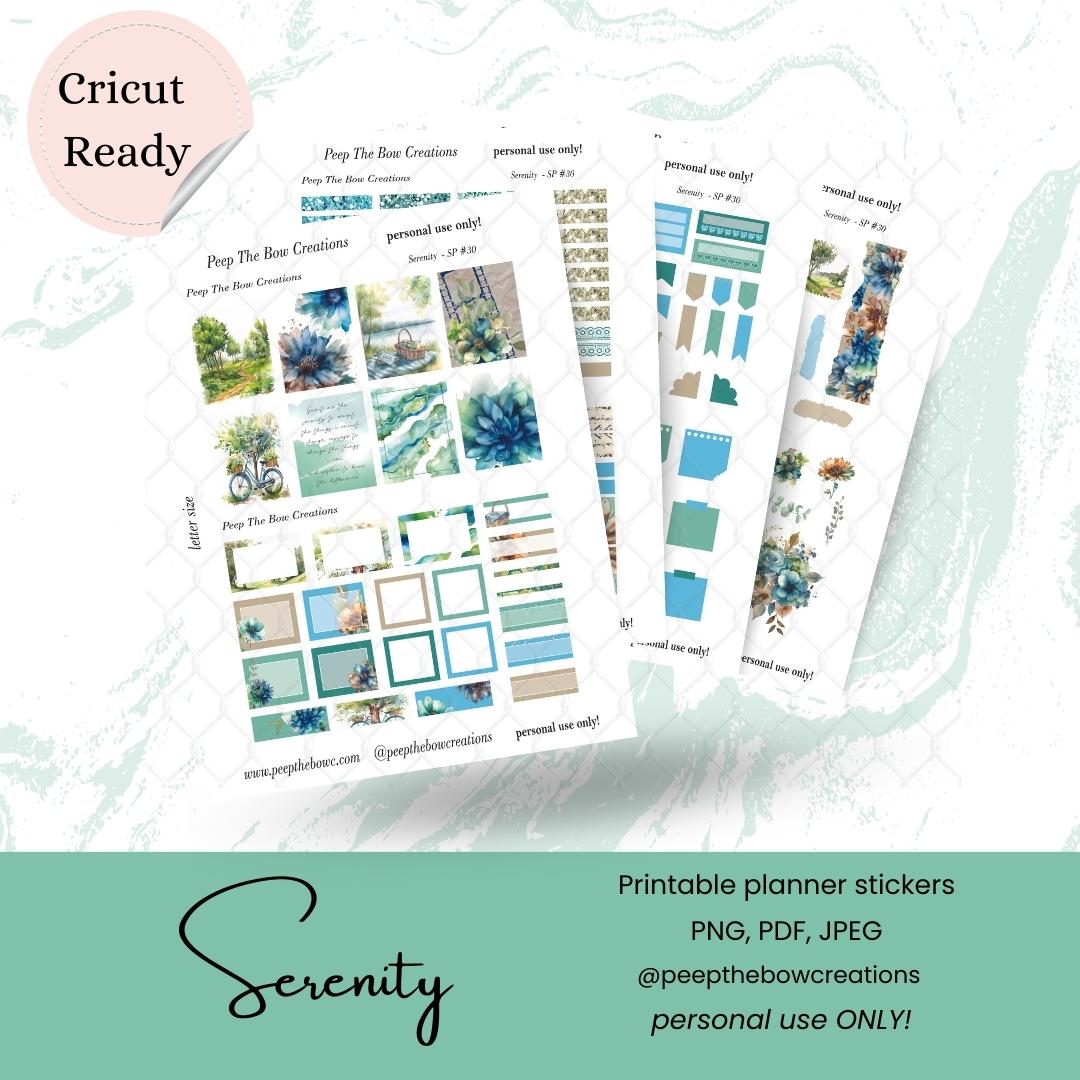 Serenity Sticker kit DSP-30